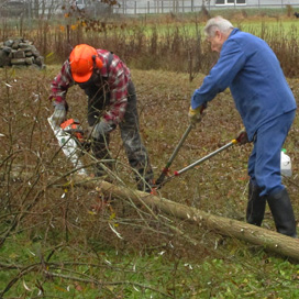 Tiefenbachgewässer